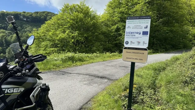 ACT Pyrenees Foret Syndicale de Cize Bike