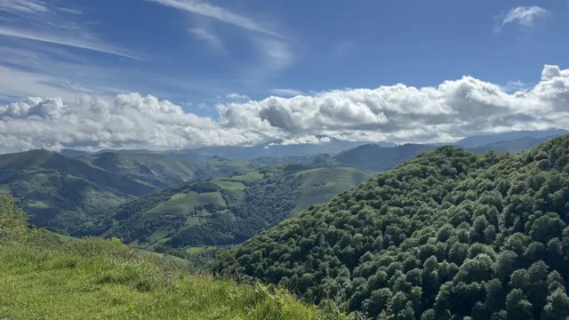 ACT Pyrenees Foret Syndicale de Cize View Scenery