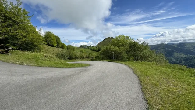 ACT Pyrenees Foret Syndicale de Cize