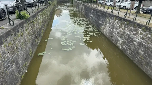 Bergues Canal