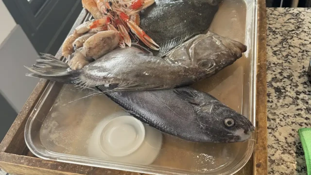 Fresh Fish Els Pescadors Llanca