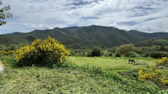Macanet de Cabrenys View