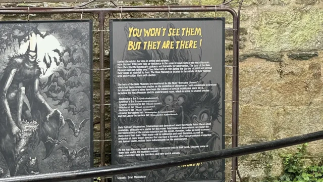 Rochefort en Terre 7