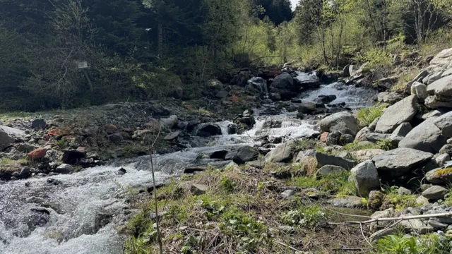 Vielha e Mijaran View